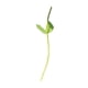 thumbnail image 2 of Varilla Floral De Tallo De Flor Artificial Para Decoración Estilo A, 2 of 3