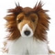 thumbnail image 4 of Peluche de peluche Carl Dick Rough Collie para perro, 25 cm, 4 of 7