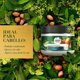 thumbnail image 3 of Mascarilla para el Cabello Herbal Essences Intensiva Bío:Renew Argan Oil Of Morocco, 300 ml, 3 of 6