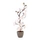 thumbnail image 4 of Flor De Ciruelo Artificial En Maceta, Ideal Para Jardín, Sala De Estar O Cualquier Espacio Del Hogar (blanca)., 4 of 5