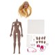 thumbnail image 2 of 1: 6 Cabeza Femenina Esculpir Modelo GC017 Y Cuerpo Femenino Sin Costuras Para Figura De Acción, 2 of 5