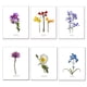 thumbnail image 1 of Set De Láminas Flores N°1, 1 of 2