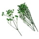 thumbnail image 4 of Hojas prensadas Flores secas naturales Tarjetas Scrapbooking haciendo verde, 4 of 5
