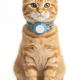 thumbnail image 2 of Collar de Gato con Localizador de Rastreo Global Android, 2 of 3