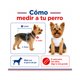 thumbnail image 5 of Traje de Huaso Chileno para Perro Talla XS, 5 of 10