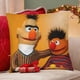 thumbnail image 4 of Bert Fundas de almohada de terciopelo con tema, regalos de funda de almohada, decoración para el hogar, cojín de lanzar, regalo de cumpleaños para fans y parejas. 60cm x 60cm., 4 of 6