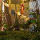 thumbnail image 5 of Luz solar decorativa para jardín con gallo Tryme, 5 of 8