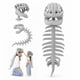 thumbnail image 1 of Disfraz Sachie Cráneo de Spinosaurus con Columna de 80 cm Gris, 1 of 7