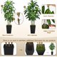 thumbnail image 4 of Ciervo volador artificial con forma de árbol de dracaena de 6 pies con maceta negra alta, 4 of 6