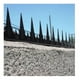 thumbnail image 1 of Pinches Punta Proteccion Tipo Pino Tira De 1 Mts, 1 of 2