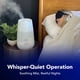 thumbnail image 5 of Humidificador Vicks FilterFree Plus Cool Mist VUL565 Medium Room, 5 of 9