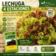 thumbnail image 5 of Semillas Lechuga 4 Estaciones BRISOL Huerto Hortaliza, 5 of 5
