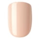 thumbnail image 5 of Press On Nails Impress «Latte», color beige, forma corta y ovalada, 5 of 8