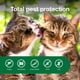 thumbnail image 4 of Spray de tratamiento antipulgas para gatos Advantage mata pulgas y garrapatas, 240 ml, 4 of 8