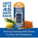 thumbnail image 5 of Ambientador Para Coche New Car Freshness Paquete De 4, 5 of 7