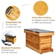 thumbnail image 3 of Kit de caja nuc de 5 cuadros MayBee para colmena, recubierta de cera, 3 of 7