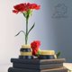 thumbnail image 2 of Arreglo floral japonés Flower Frogs Eggone Kenzan, 3 unidades, 2 of 8