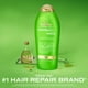 thumbnail image 2 of Acondicionador OGX Extra Strength Refreshing Scalp + Rosemary Mint 750 ml, 2 of 3