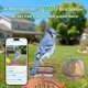 thumbnail image 2 of Comedero Inteligente para Aves Centvicam con Cámara 2K, Energía Solar, Azul, 2 of 9