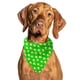 thumbnail image 1 of Bandana para perro con forma de pañuelo, material refrescante, cerveza verde, tamaño grande, 1 of 3