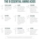 thumbnail image 2 of Aminoacidos Esenciales Triquetra Plant Aminos Organico 360 Tabletas, 2 of 3