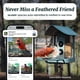 thumbnail image 4 of Comedero para aves Kiwibit con cámara 4K y energía solar con IA, 4 of 9