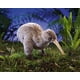 thumbnail image 4 of Marioneta de mano Folkmanis Kiwi Bird para niños de 36 x 15 x 25 cm, 4 of 5