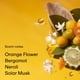 thumbnail image 3 of Perfume PHLUR Fine Fragrance Eau de Parfum Solar Power 30 ml, 3 of 7
