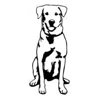 Rienda Libre Graphics - Decomural Labrador Dog Animals Pets Ws-34710
