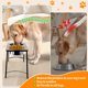 thumbnail image 2 of Tazones elevados para perros kevideawl 2 × 1700 ml antideslizantes con base de madera, 2 of 7