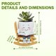 thumbnail image 4 of Mecedora Planter Toparad Smily Face con drenaje, 4 of 8