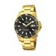 thumbnail image 1 of Reloj F20533/2 Festina Negro Hombre Automático, 1 of 2