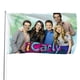 thumbnail image 1 of iCarly Bandera impresa con temática, regalo perfecto para fanáticos, amigos y familiares, y adecuada para actividades al aire libre e interiores, decoraciones de fiesta. 120*180CM, 1 of 6