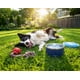 thumbnail image 5 of Plato de Agua para Mascotas PURIBLOC GO PURE 64 oz Acero Inoxidable, 5 of 7