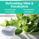 thumbnail image 2 of Espumas de Ducha IQNATURAL Aromaterapia de Eucalipto y Menta, 2 of 9