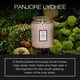 thumbnail image 2 of Cera de coco Candle Voluspa Panjore Lychee, 532 ml, 100 h, quemada, 2 of 6
