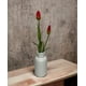 thumbnail image 3 of Tulipan Roja 50cm Realista, 3 of 3