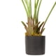 thumbnail image 4 of Planta Artificial Ave del Paraiso 160 Cm. / 10 Hojas., 4 of 6