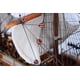 thumbnail image 2 of Deadeye de madera para barco de vela alta (30 cm x 15 cm x 15 cm), 2 of 2
