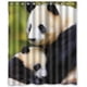 thumbnail image 1 of Bonita y encantadora cortina de ducha de panda, juego de cortina de baño con ganchos, tamaño 60 x 72 pulgadas, 1 of 3