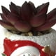thumbnail image 3 of Suculenta Roja Figura Hombre Nieve, 3 of 4