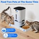 thumbnail image 4 of Comedero automático para gatos TYM con 2 cámaras de 7 litros con visión nocturna, 4 of 8