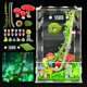 thumbnail image 1 of VIVARIUM KFPSHLQE Set de Recinto 14 × 14 × 24 cm para Araña Saltadora, 1 of 7