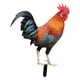 thumbnail image 5 of Gallo Animal Estatua Ornamento Jardín Estacas Escultura De Pie Para Patio Color A, 5 of 5