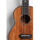 thumbnail image 4 of Ukelele Tenor Ka-CTD-SA-TG Kala, 4 of 7