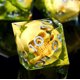 thumbnail image 5 of Set de Dados Froggod 7 Piezas Transparente con Calavera y Musgo en Resina, 5 of 7