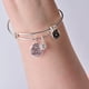 thumbnail image 2 of Brazalete Alex y Ani: Lo mejor está por venir, dúo, 2 of 2