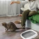 thumbnail image 3 of Caja D Arena Para Gatos Aseo Entrada Baja Mascotas Hogar Lau, 3 of 3