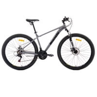 Bicicleta Bianchi Evolution 29 Sx Gris Semi Mate