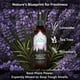 thumbnail image 5 of Spray Desodorizante Para Zapatos Lavanda Natural Árbol De Té, 5 of 7